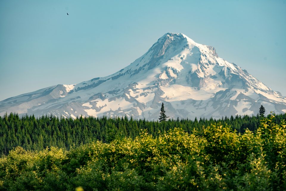 Mt Hood